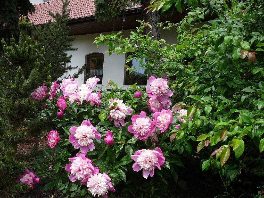 La Ferme De Sissi Apartment Smrzice Luaran gambar
